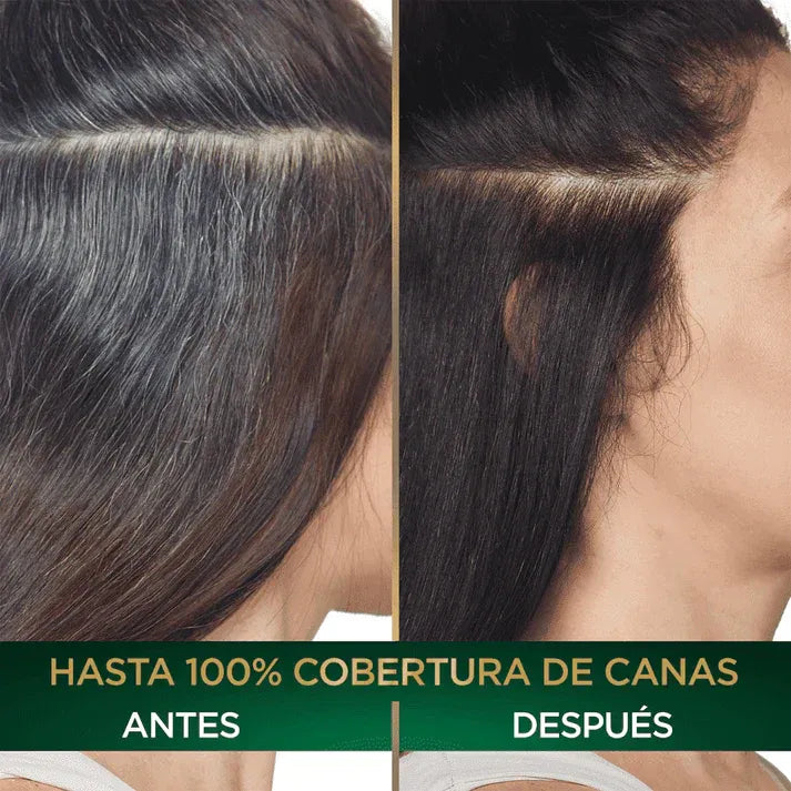 Shampoo Cubre Canas Castaño Dr Rashel