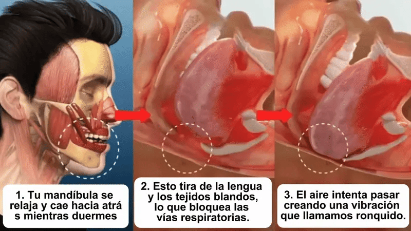 Por qué no estás descansando aunque pases 8 horas en la cama?
